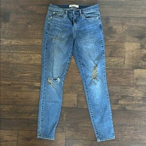 GAP 1969 True Skinny Jean 29R